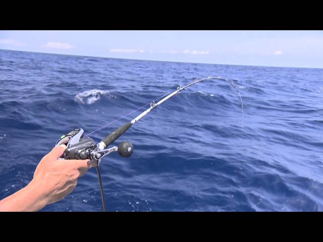 いつでも釣り気分！】#179 既成概念を打ち破れ！広がるライトゲームの