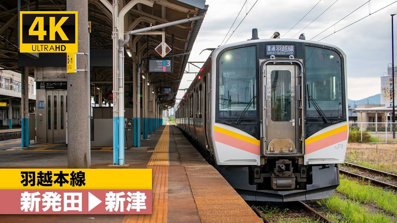 蔵出し 越前ナタ 蔵出し 越前ナタ 越前岬 蔵出し本醸造 | 勝山酒店