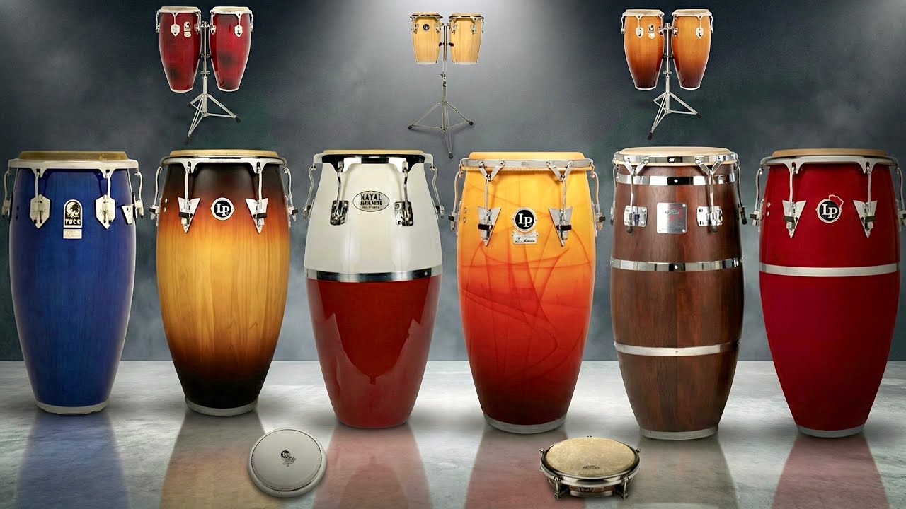 Toca Limited Editionコンガ／キント マイネルスタンド MEINL コンガ