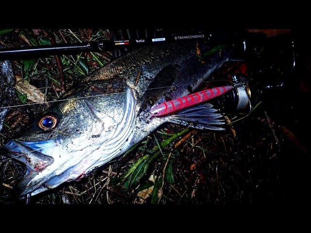 2024年新製品ボティア60S - YouTube