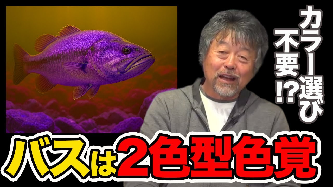 Unbelievable things happen] How to choose the right lure color