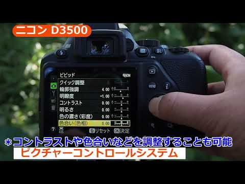 ニコン D3500 ボディ | デジタル一眼レフ