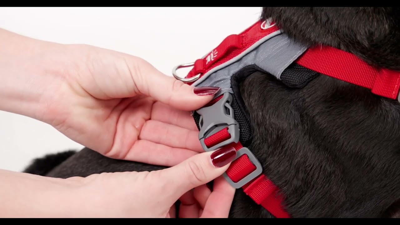 エックスリンクハーネス - EZYDOG