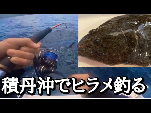 積丹沖でヒラメのバケ釣り - YouTube
