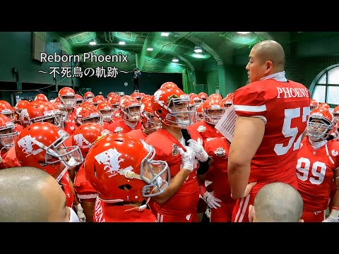 Reborn Phoenix 〜不死鳥の軌跡〜 【日大アメフト部ドキュメンタリー