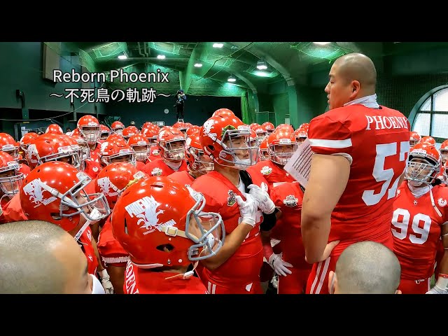 Reborn Phoenix 〜不死鳥の軌跡〜 【日大アメフト部ドキュメンタリー