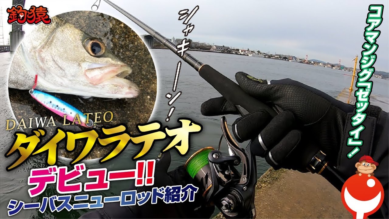 新しいシーバスロッド試したら素晴らしすぎた！【ダイワ ラテオ