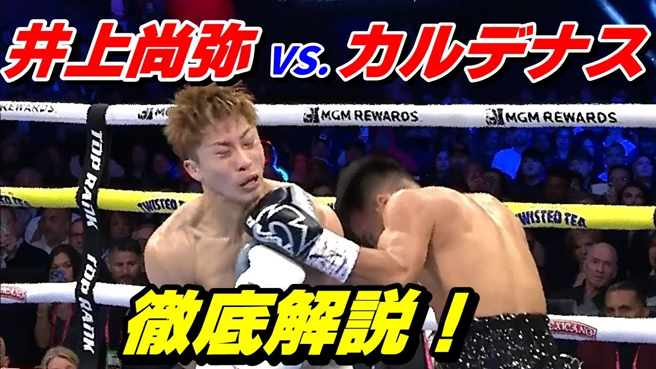 徹底解説！【井上尚弥 VS. ラモン・カルデナス】あの時、何が起きた