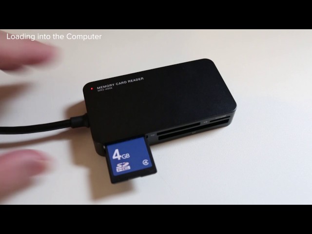 Exporting Sequencer Data