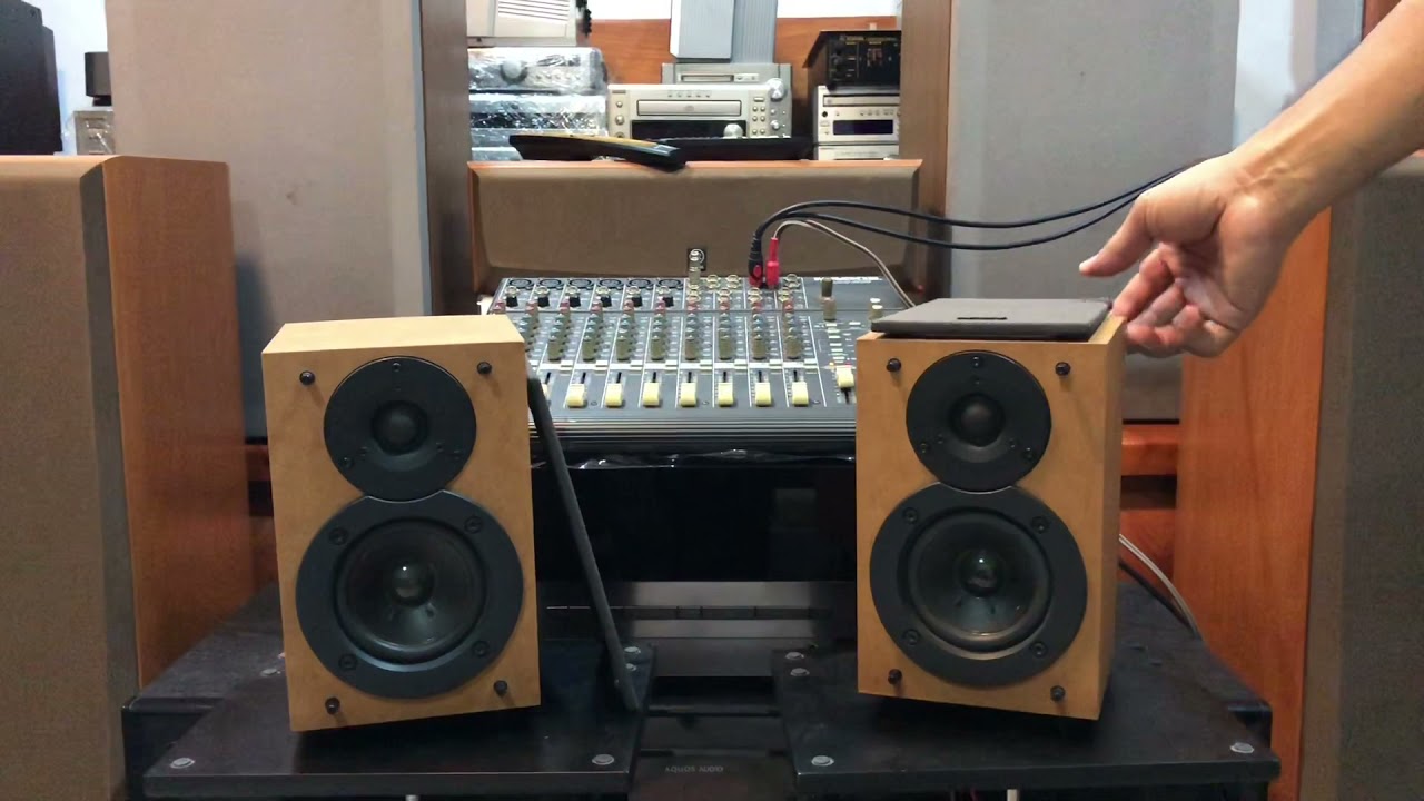 SONY Model No. SS-CEX1 - YouTube