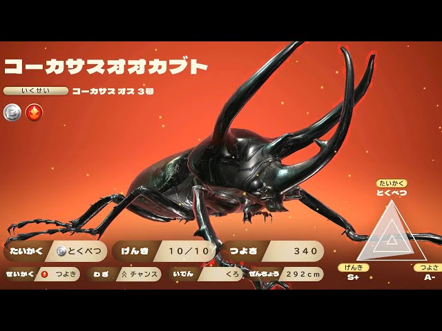 カブトクワガタ DLC - コーカサスオオカブト登場! 新世代甲虫王者