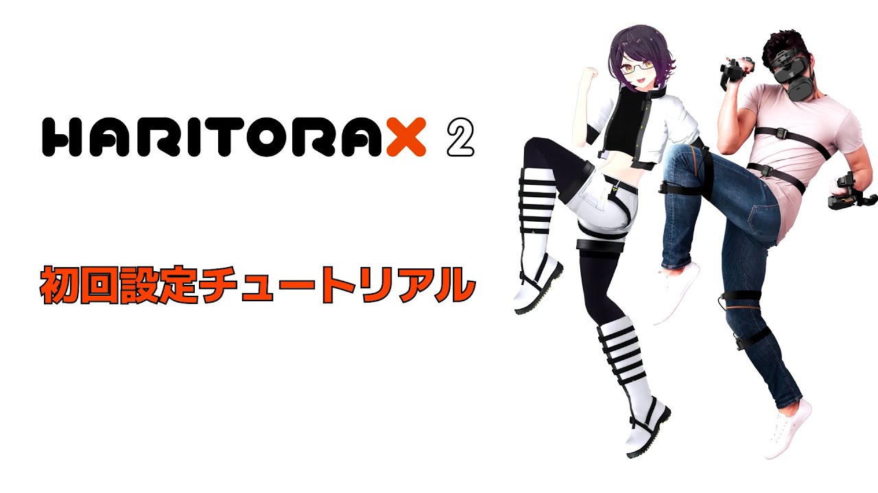 HaritoraX 2 Initial Setup Tutorial - YouTube