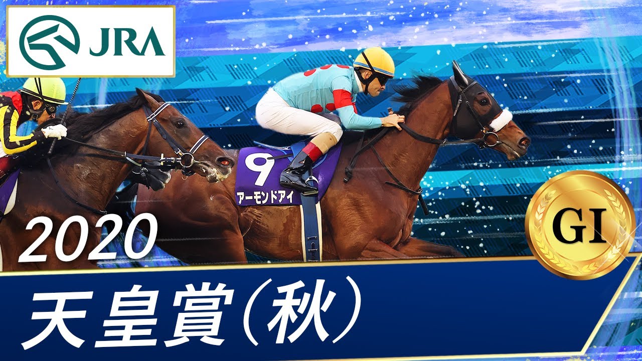 第162回 天皇賞・秋 回顧 | 競馬 研究ニュース