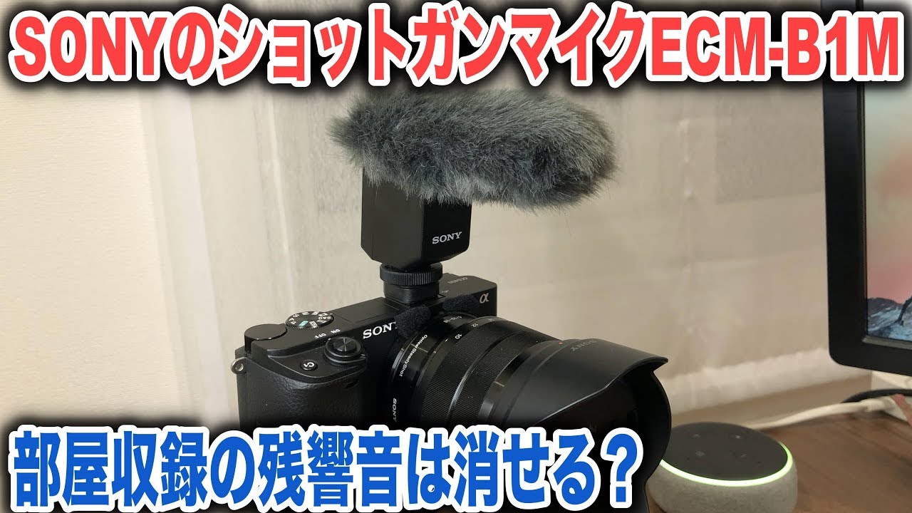 SONYのショットガンマイクECM-B1Mで部屋収録の反響音は消せるかロード