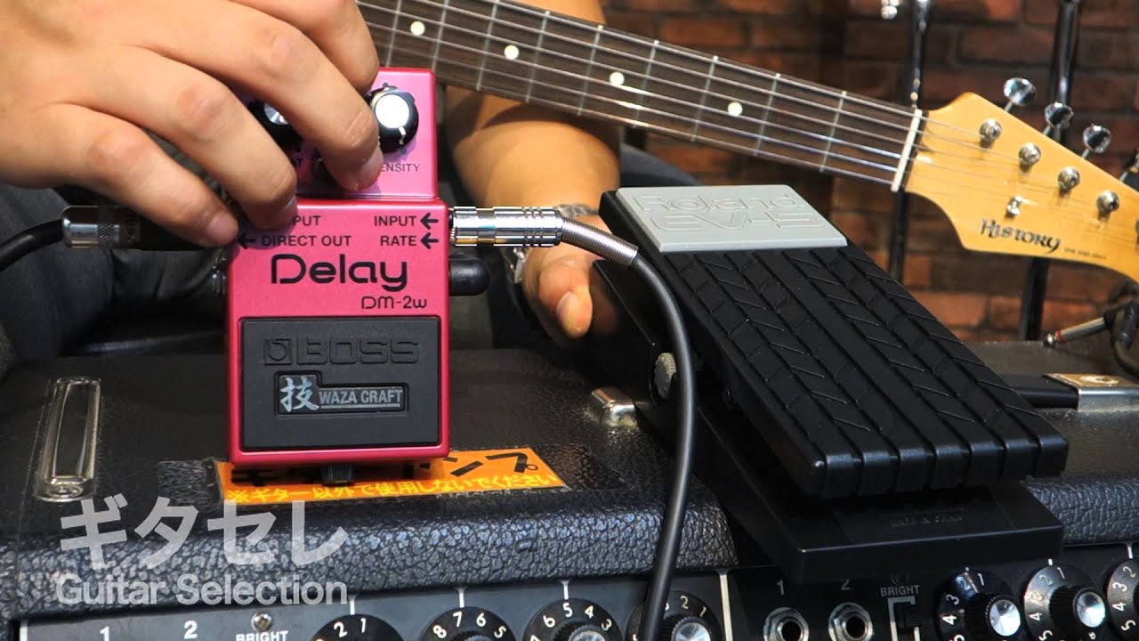 BOSS 技 WAZA CRAFT DM-2Wを発振させペダルでコントロールしてみた