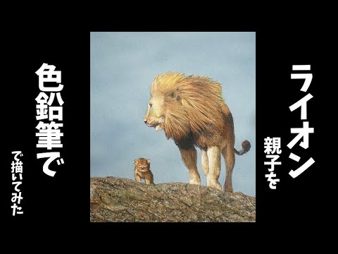 色鉛筆でライオンの親子を描いてみた - YouTube