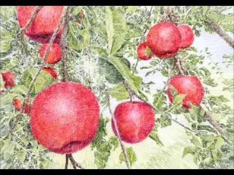 How to draw /色鉛筆画技法～リンゴを描く - YouTube