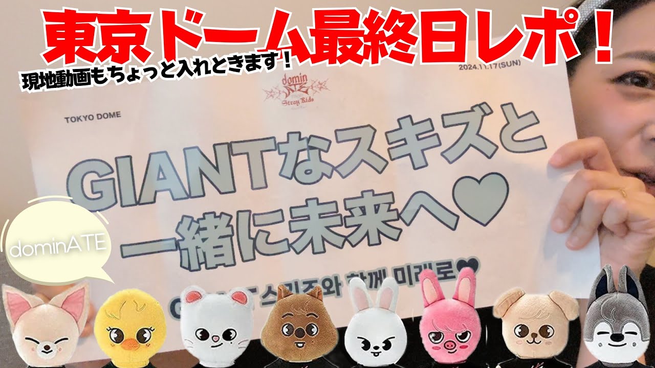 dominATE WorldTour】東京ドーム公演最終日参戦レポ【Straykids