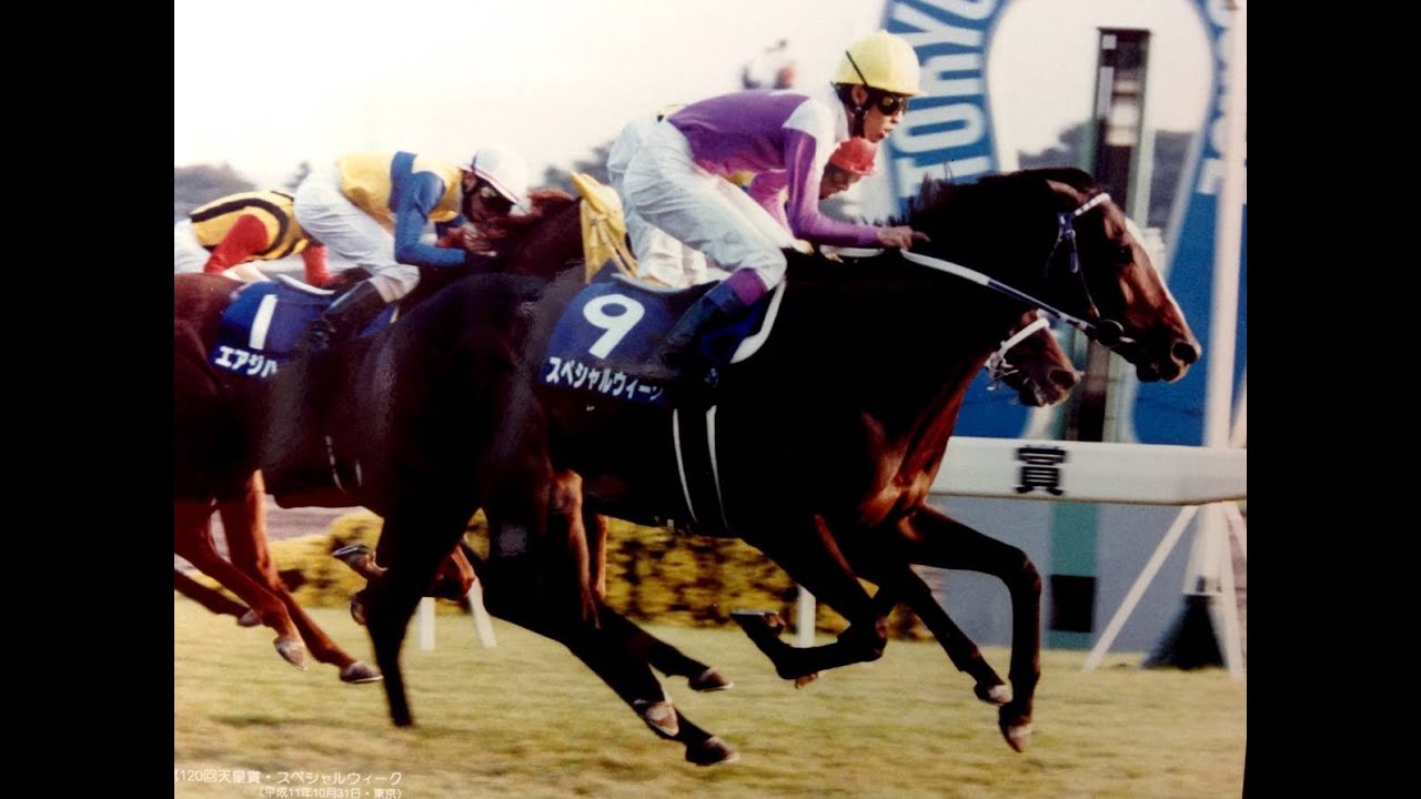1999 天皇賞秋 GⅠ スペシャルウィーク 武 豊 - YouTube