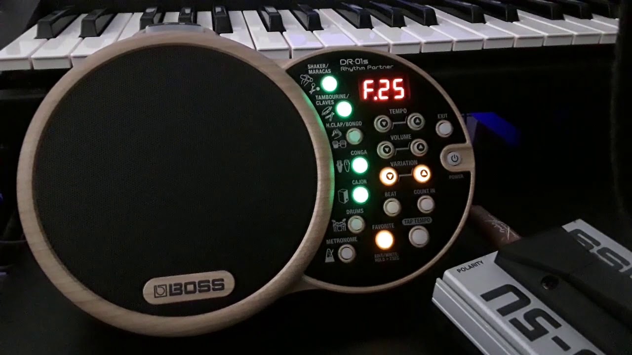 BOSS DR-01s Rhythm Partner 🥁 Demo of the factory preset rhythms