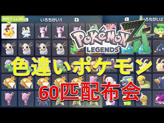 ポケモンZA】人気色違いポケモン60匹配布会！誰でも参加可能！！親分