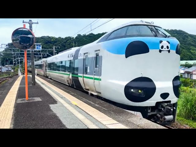 This is an Everyday Scene in Japan: Panda Express Train Running in