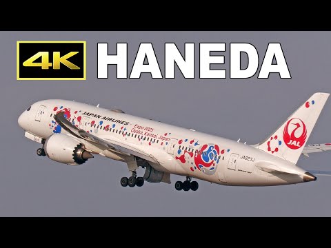 4K] まもなく開幕！大阪・関西万博特別塗装機「JALミャクミャクJET」2