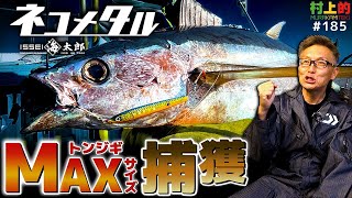 Murakami's] #185 Great joy!! Catching a giant tuna with a