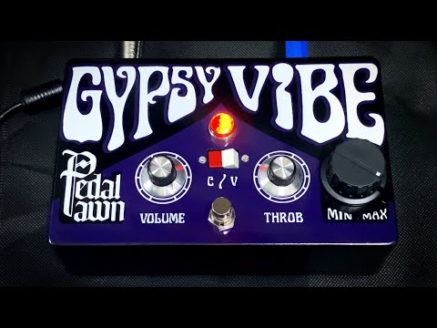 Pedal Pawn GYPSY VIBE ™ Official Demo - YouTube
