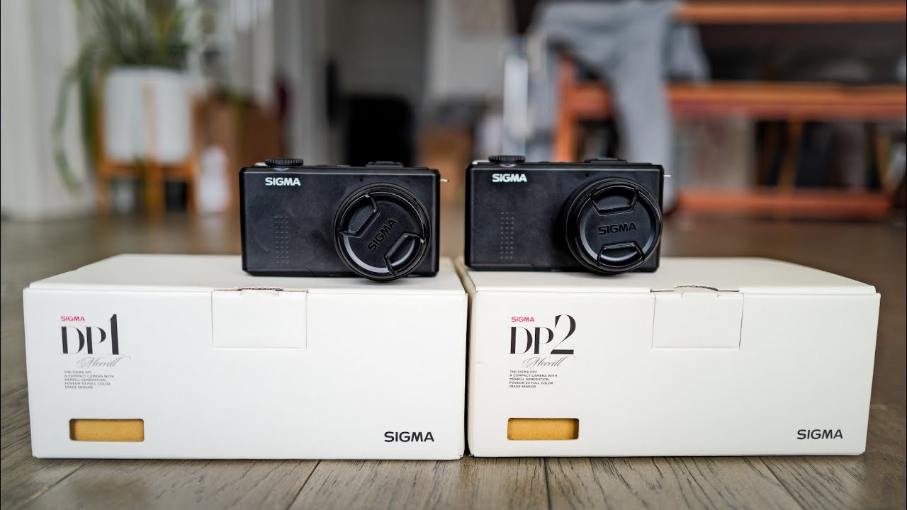 作例あり)SIGMA DP2 Merrill ややセンサー汚れあり 作例あり)SIGMA DP2