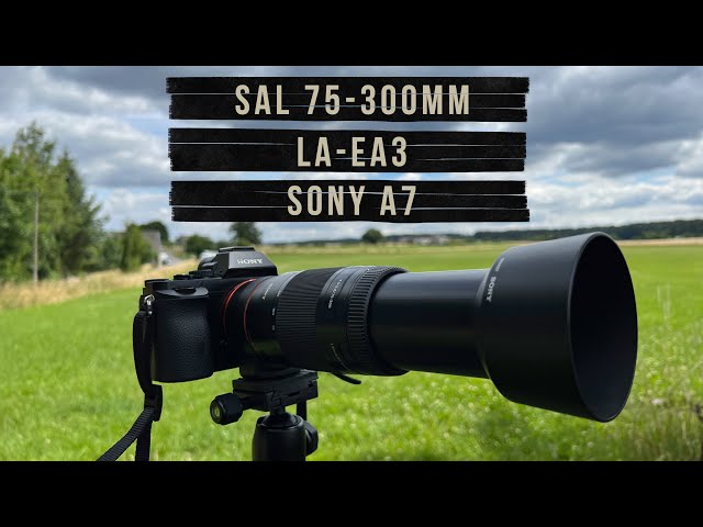 SAL 75-300 mm f4.5-5.6 & LA-EA3 Adapter & Sony A7 I Alternative to