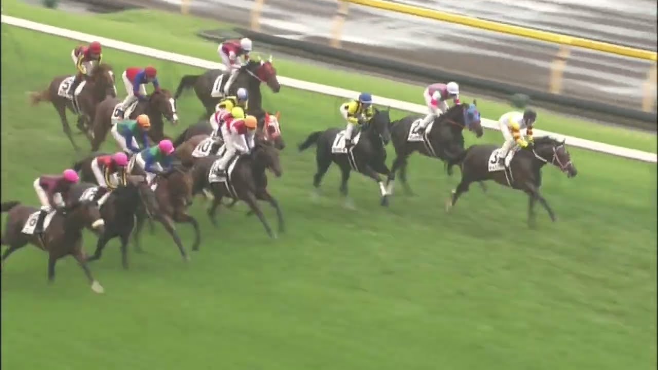 2011年日本ダービー オルフェーヴル - YouTube