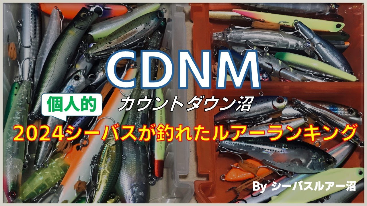 We've compiled a ranking of the lures that caught sea bass in 2024