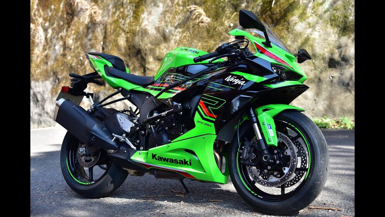 24時間以内匿名配送】CS優勝構築/ハイレート緑単キャベツ/緑単