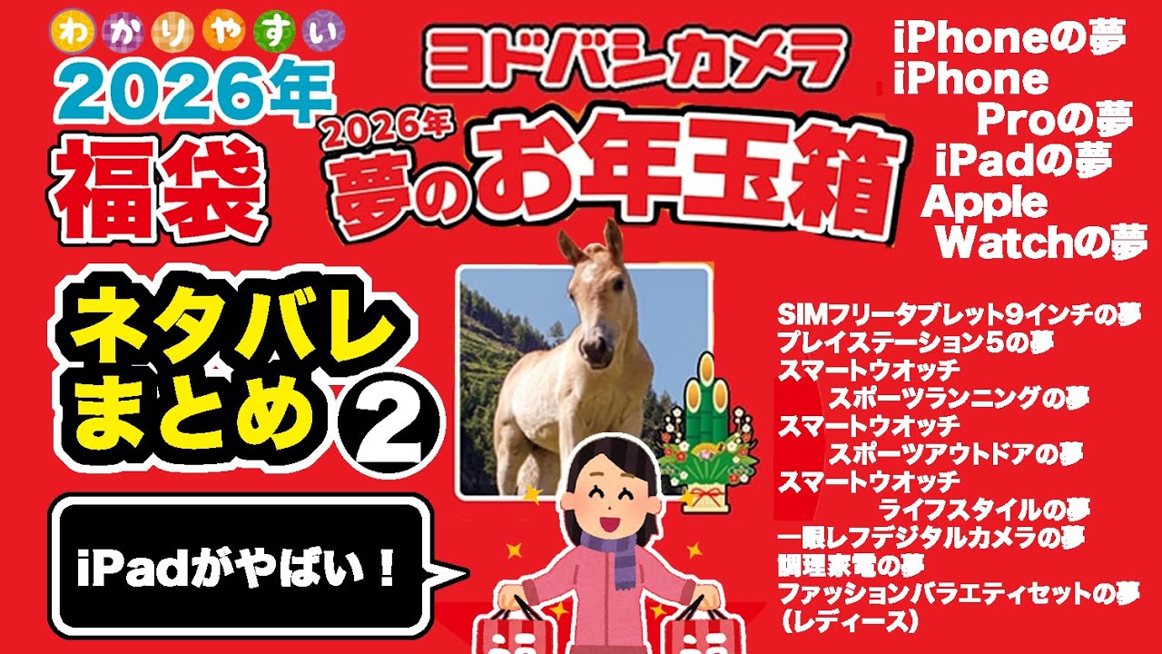 ヨドバシカメラ福袋】#2026福袋 #夢のお年玉箱 #福袋ネタバレ まとめ2