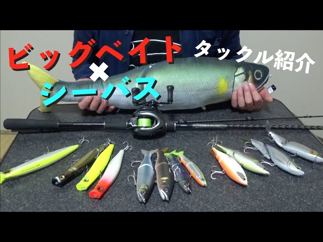 ビッグベイトタックルを紹介します。【ビッグベイト×シーバスのすゝめ