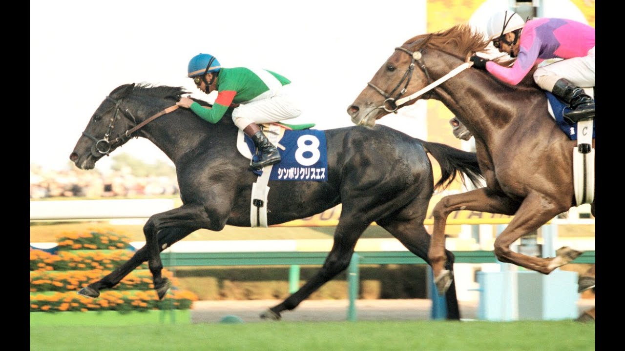 期限切れ単勝馬券】 第125回 天皇賞（春） マンハッタンカフェ ウマ娘