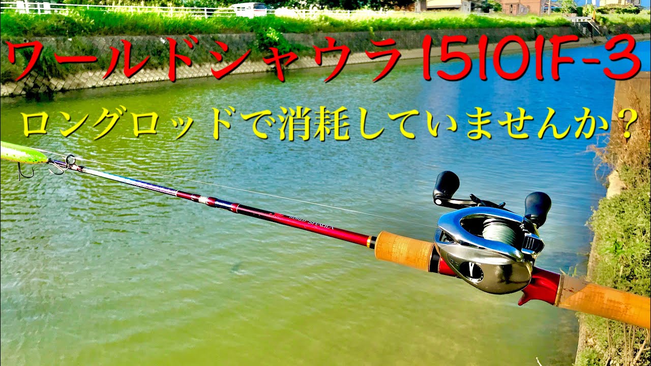 Long-term use impressions of the World Shaula 15101F-3. The