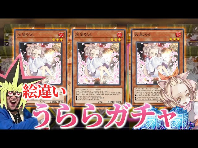 絵違い灰流うららを3枚狙う闇のガチャに挑む決闘者【遊戯王マスター