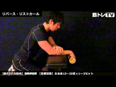 Reverse wrist curl / forearm extensor muscles / practical muscle