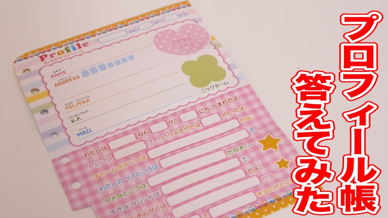 I wrote a profile book! - YouTube