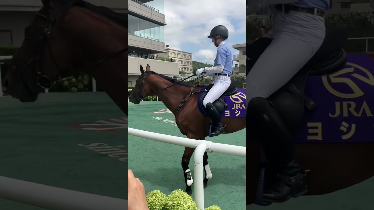 ヨシオ（福島競馬場誘導馬）デビュー戦現地馬券