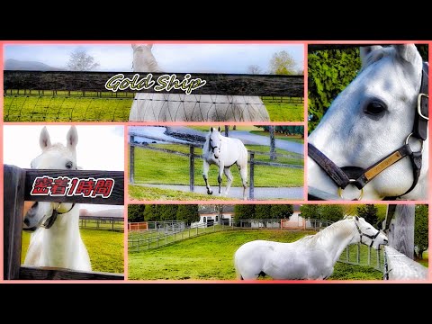 ゴールドシップまとめ - YouTube