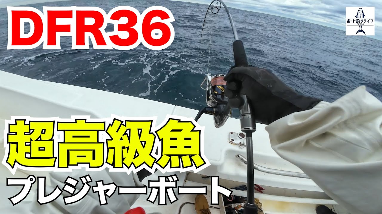 飯岡沖で楽しむヒラメの数釣りと青物ジギングをしていたら超高級魚が