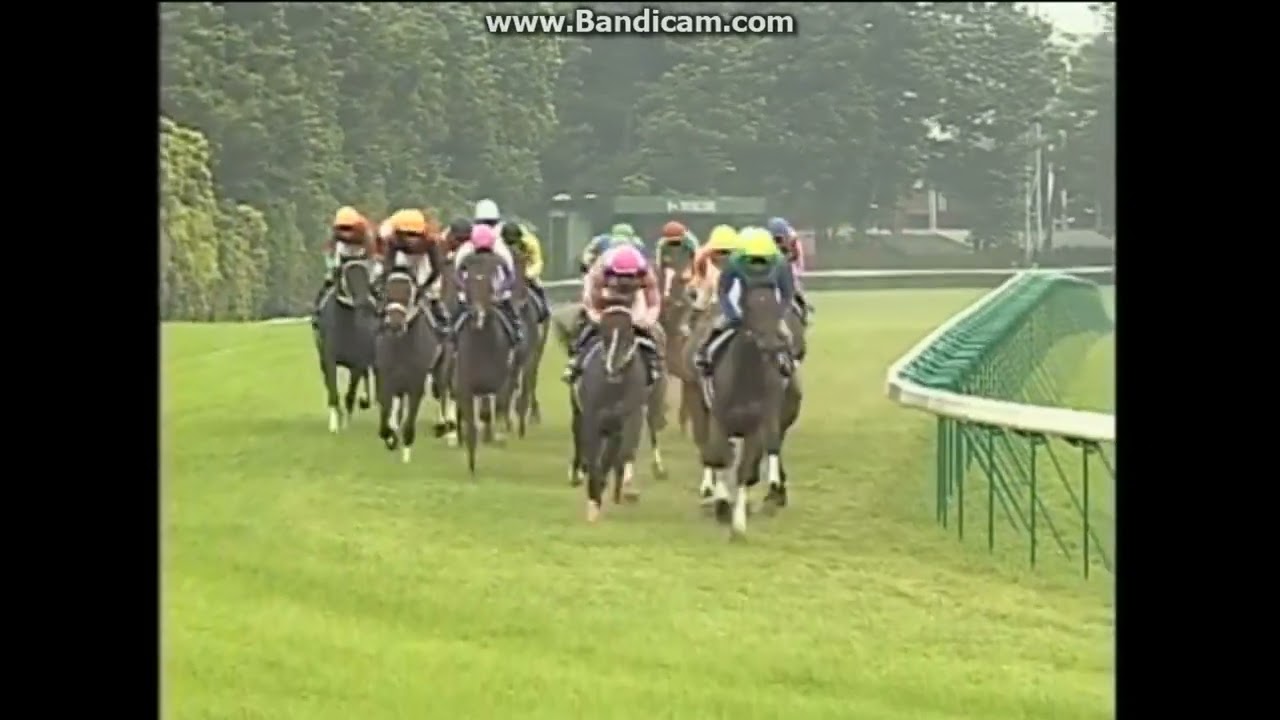 2003 オークス (GI) スティルインラブ - YouTube