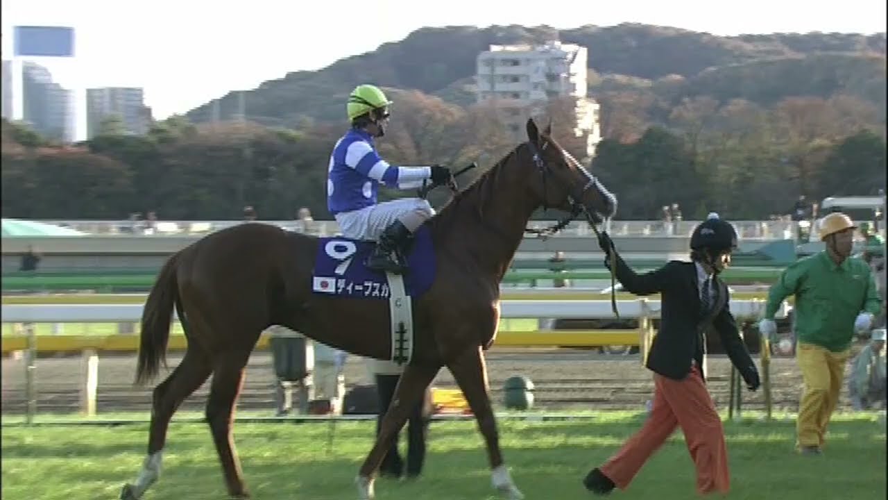 2008年ジャパンカップ スクリーンヒーロー - YouTube