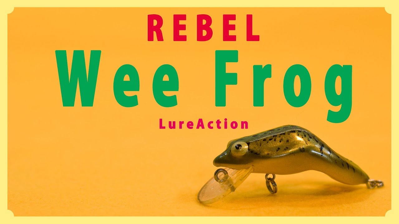 Rebel F71 Wee Frog Lure Action / レーベル ウィーフロッグのルアー