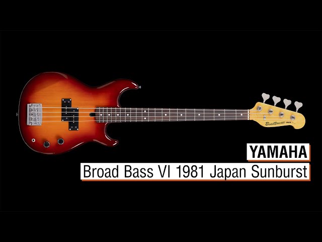 Yamaha Broad Bass VI 1981 Japan Sunburst - YouTube