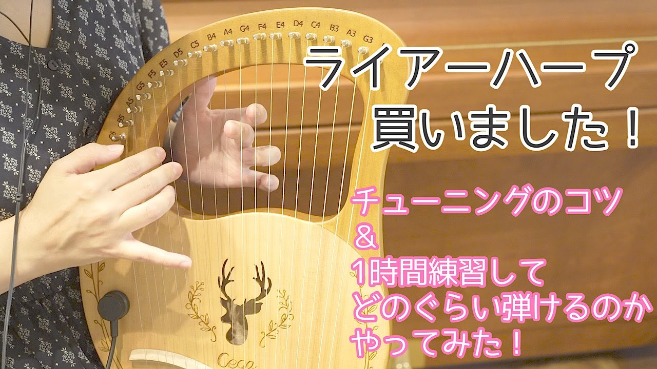 開封】19弦ライアーハープ買ってみた！竪琴【Unboxing】Leire Harp