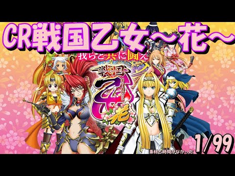 CR 戦国乙女 花 99ver セルのみ OP有 CR 戦国乙女 花 99ver セルのみ
